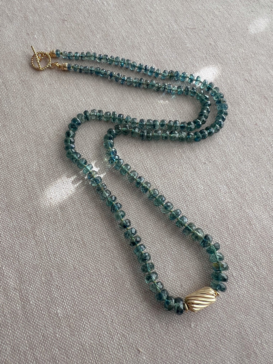 Bio Kyanite Necklace with Gold Accent