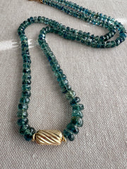 Bio Kyanite Necklace with Gold Accent