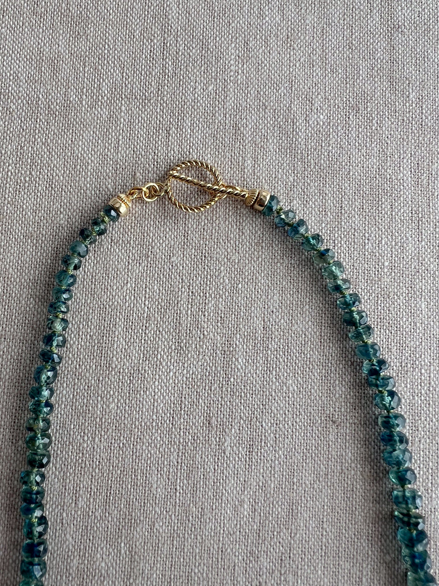 Bio Kyanite Necklace with Gold Accent