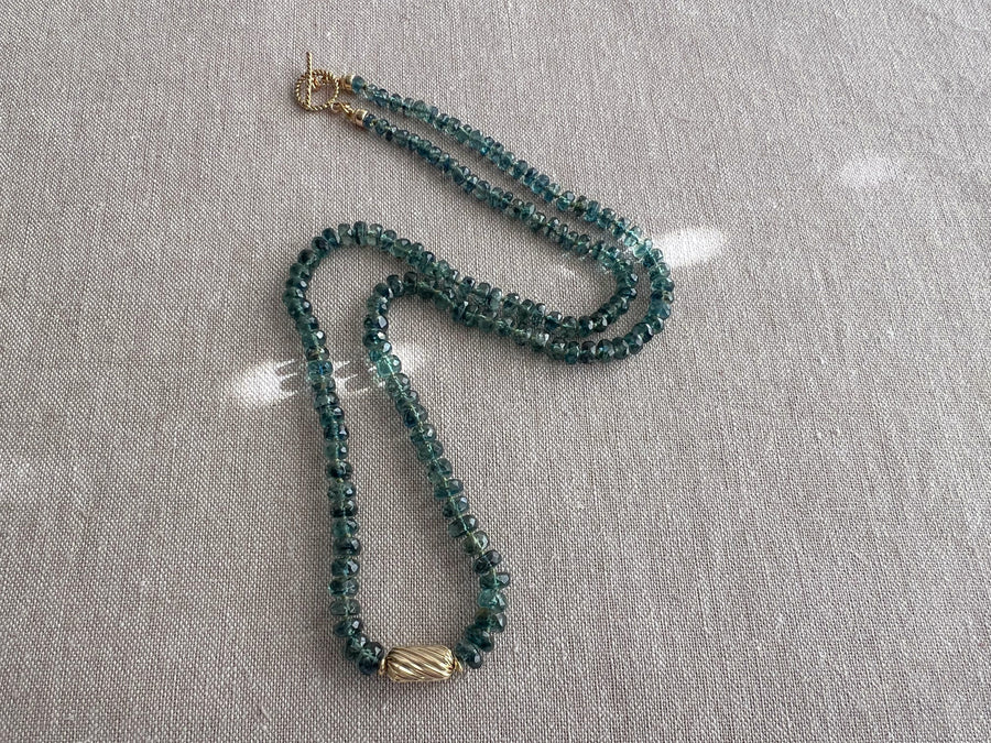 Bio Kyanite Necklace with Gold Accent