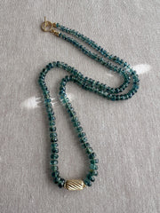 Bio Kyanite Necklace with Gold Accent
