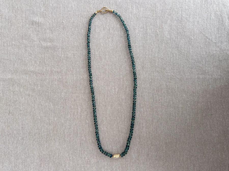 Bio Kyanite Necklace with Gold Accent