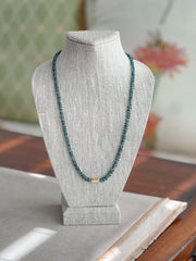 Bio Kyanite Necklace with Gold Accent
